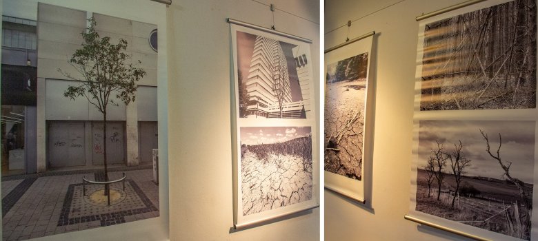 Bilder aus der Ausstellung "Klimawandel in der Pfalz""
